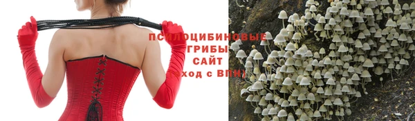 ПСИЛОЦИБИНОВЫЕ ГРИБЫ Бугульма