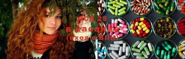 ПСИЛОЦИБИНОВЫЕ ГРИБЫ Бугульма